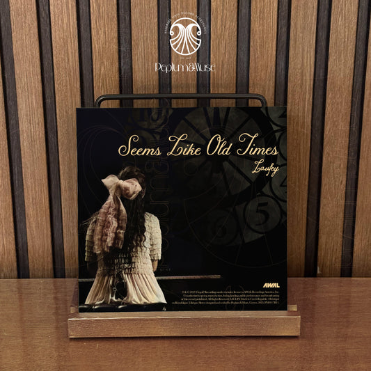 Seems Like Old Times-inspired Custom Vinyl Sleeve/Jacket Design