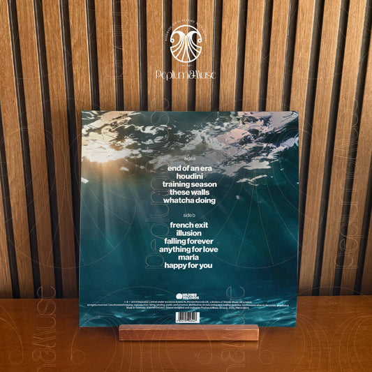 Radical Optimism-inspired Custom Vinyl Sleeve/Jacket Design