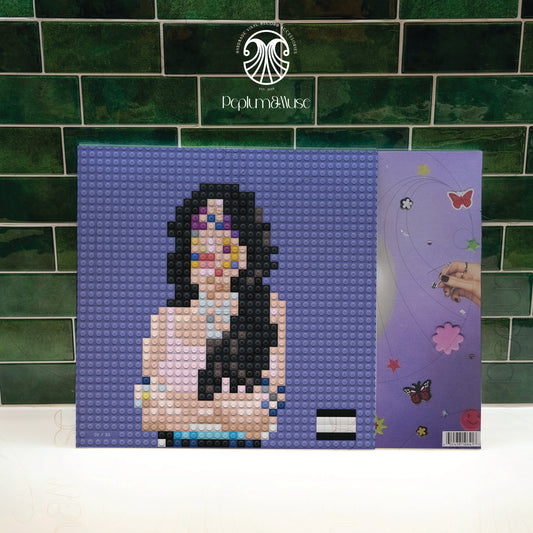 Olivia Rodrigo Brick-style Vinyl Slipcase Design Bundle