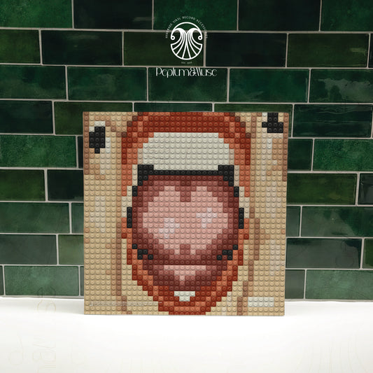 Guts-inspired Brick-style Custom Vinyl Slipcase Design