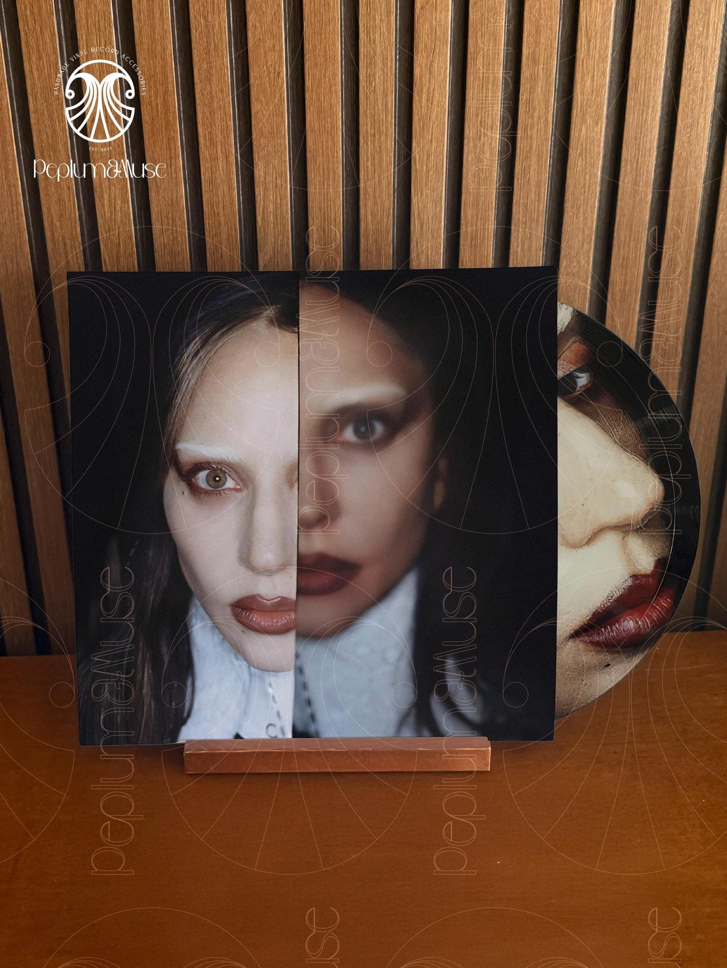 Mayhem by Gaga - Custom Vinyl Sleeve
