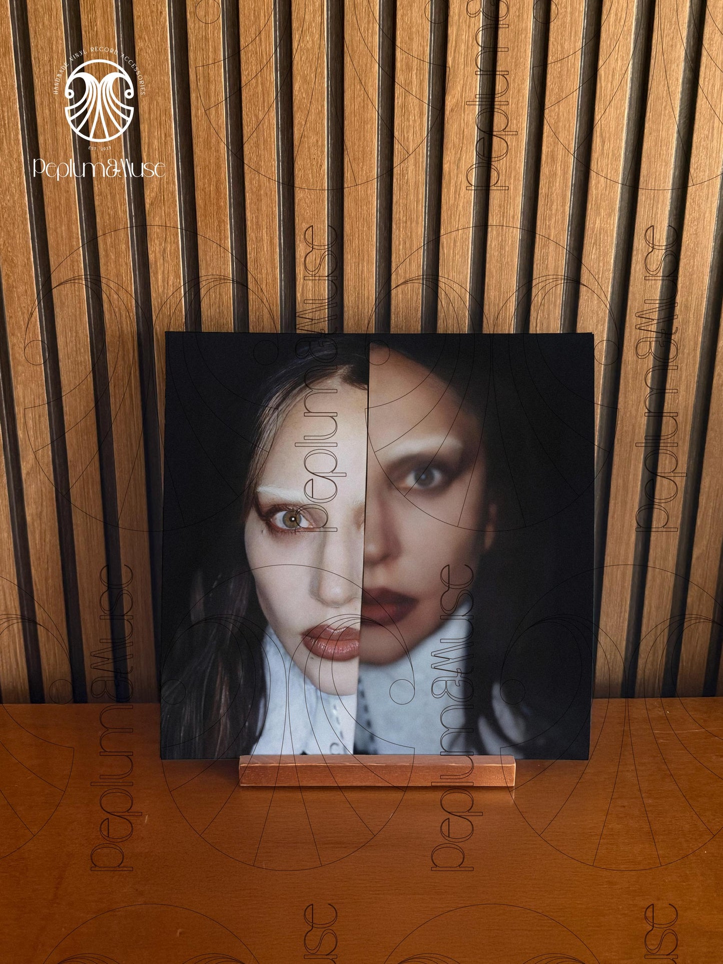 Mayhem by Gaga - Custom Vinyl Sleeve