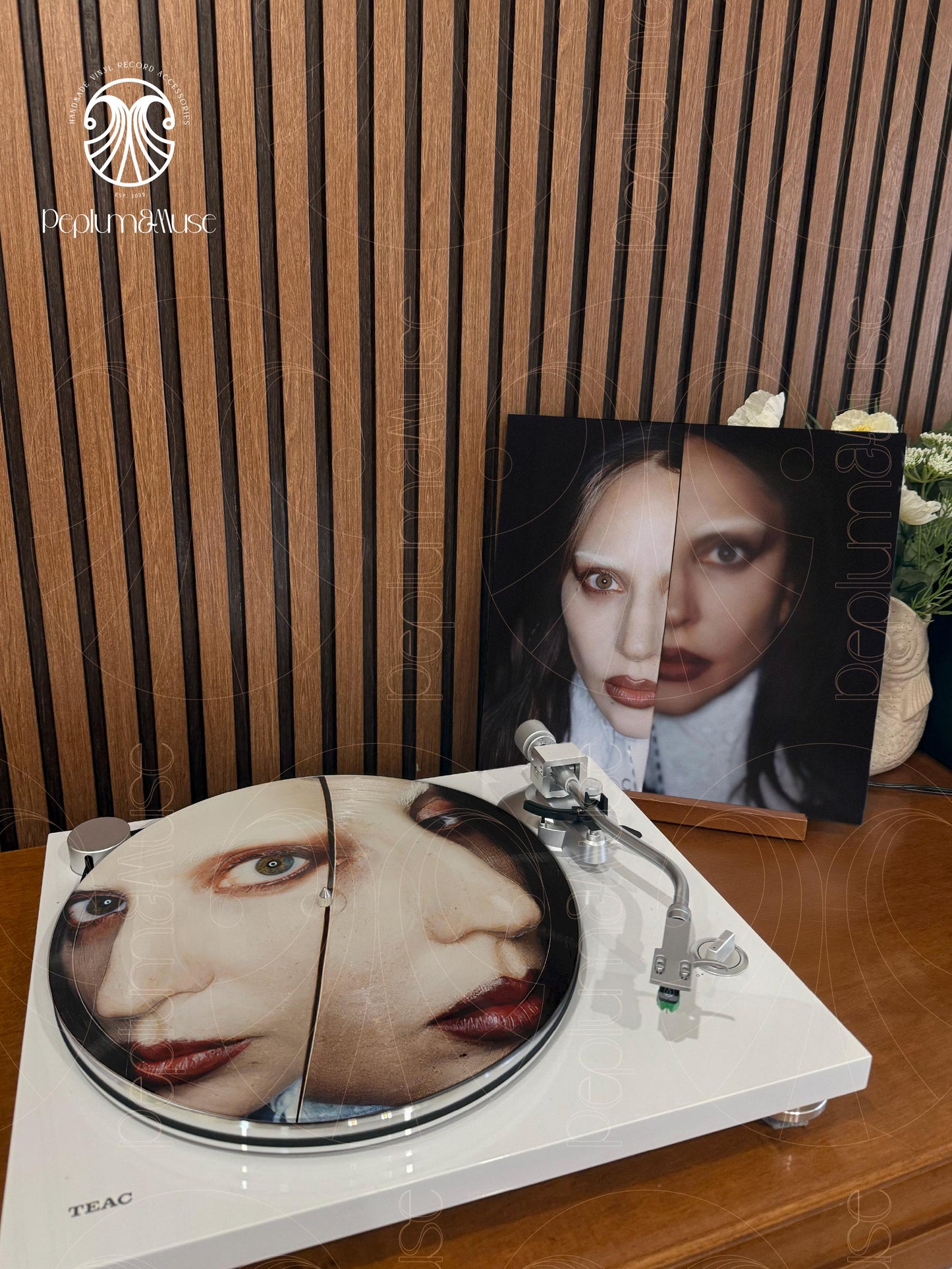 Mayhem by Gaga - Custom Vinyl Sleeve