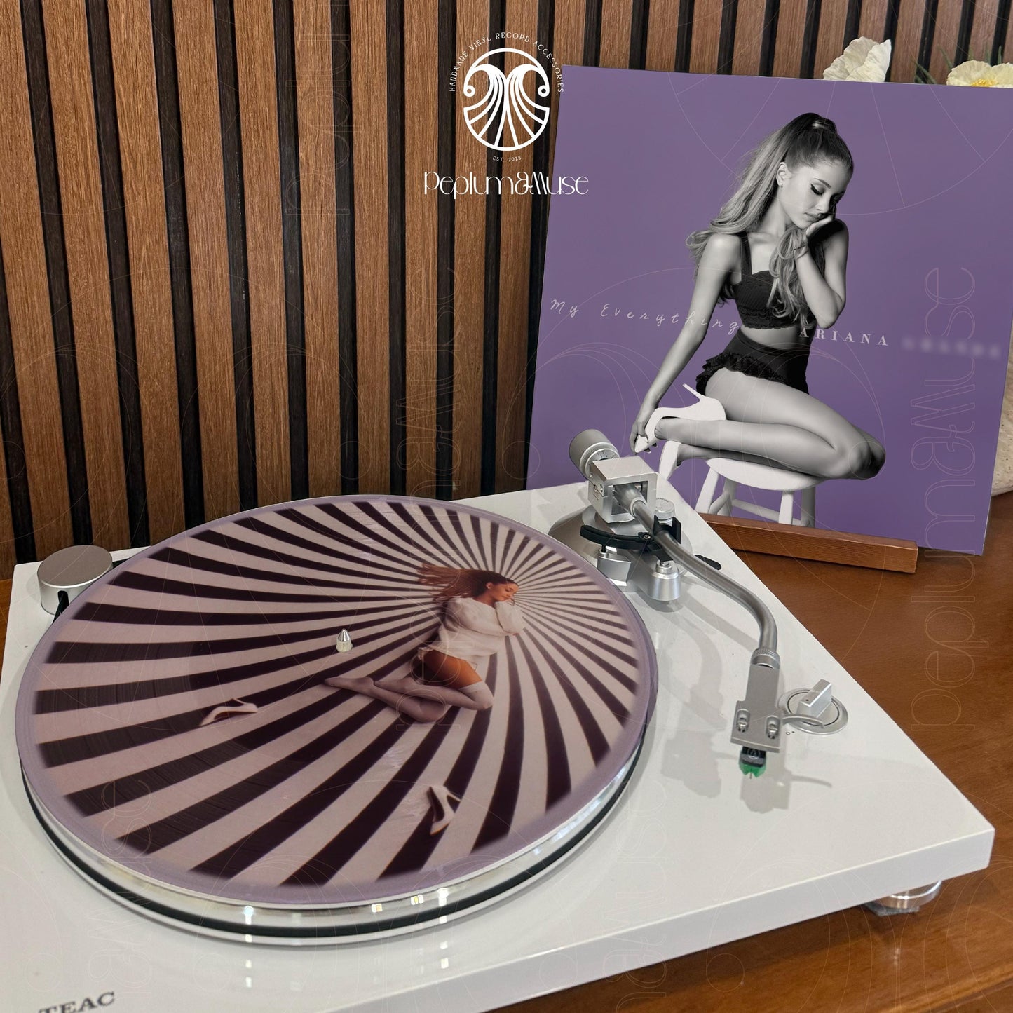 My Everything by Ariana - Custom Vinyl Sleeve