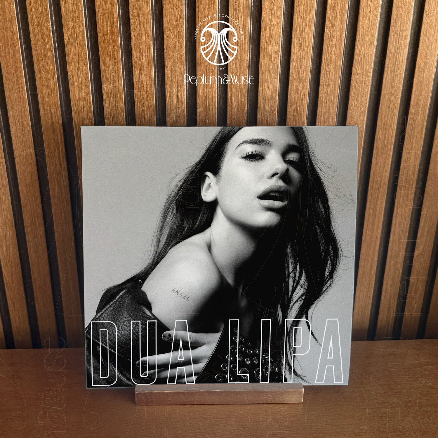 Dua Lipa Collection