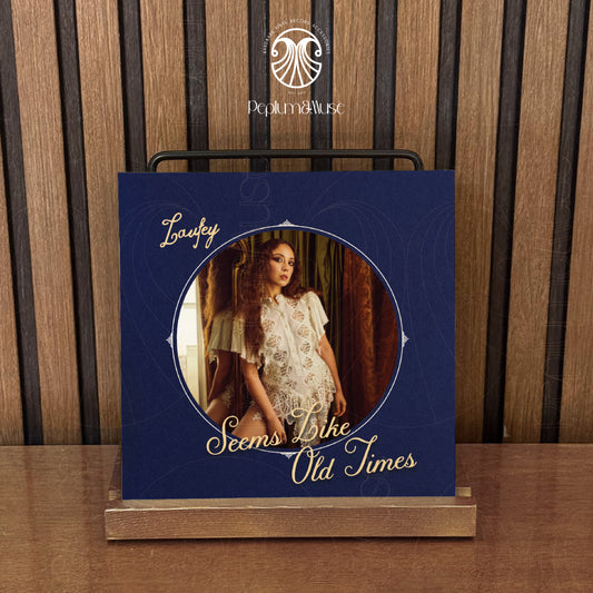 Seems Like Old Times-inspired Custom Vinyl Sleeve/Jacket Design