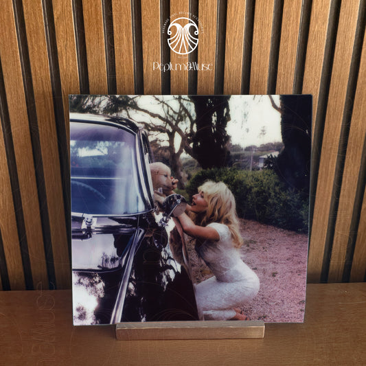 Man's Best Friend-inspired Custom Vinyl Sleeve/Jacket Design