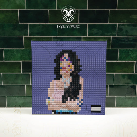 Sour-inspired Brick-style Custom Vinyl Slipcase Design