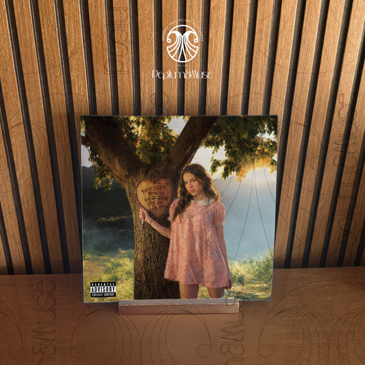 You Seem Pretty Sad For A Girl So In Love-inspired Custom Vinyl Sleeve/Jacket Design