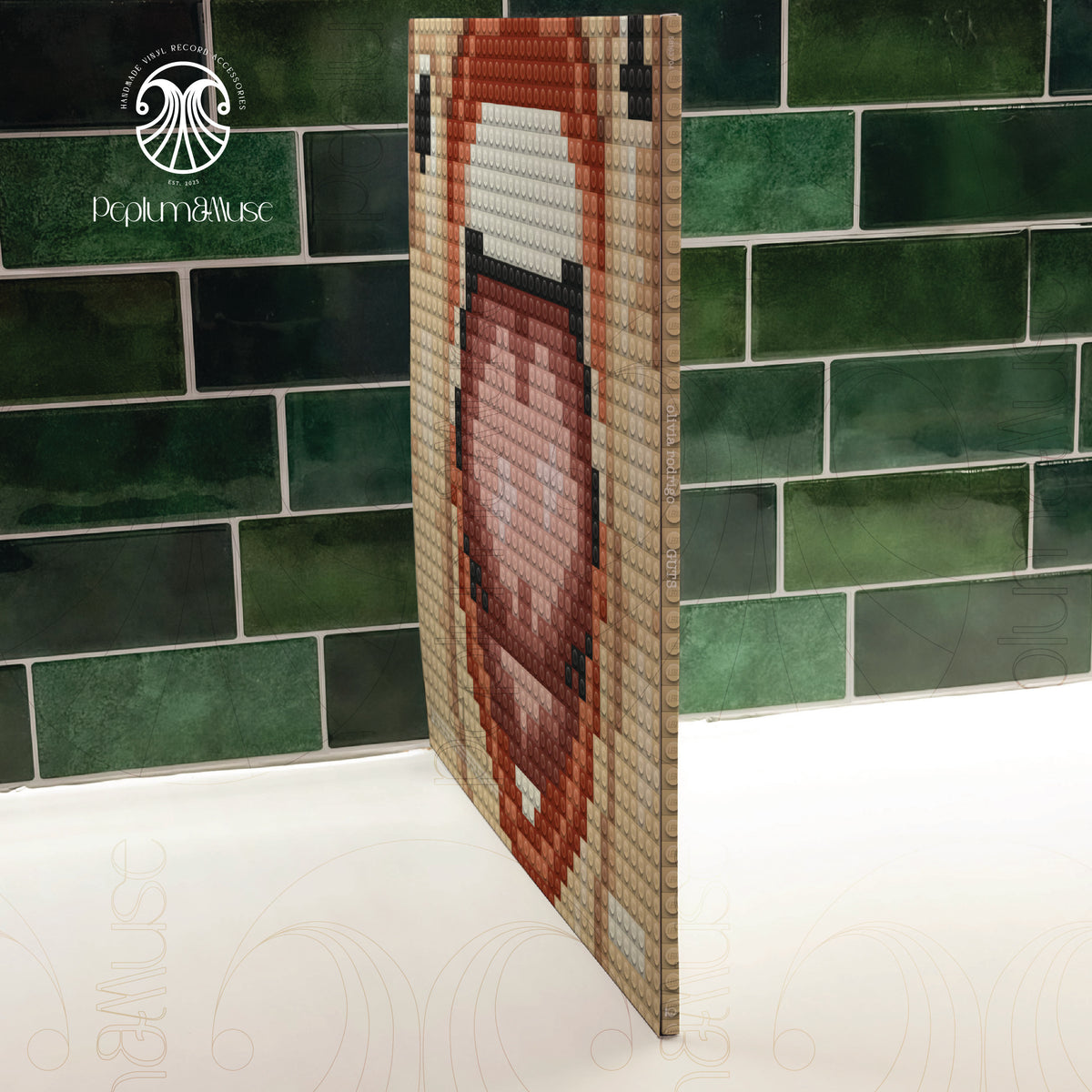 Guts-inspired Brick-style Custom Vinyl Slipcase Design