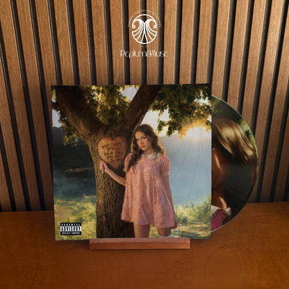 You Seem Pretty Sad For A Girl So In Love-inspired Custom Vinyl Sleeve/Jacket Design