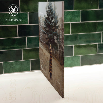 Evermore-inspired Custom Vinyl Slipcase Design ("Midas Touch")