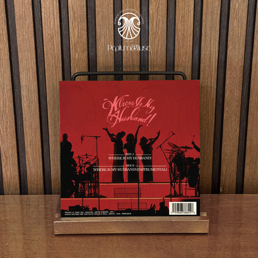 Where Is My Husband-inspired Custom Vinyl Sleeve/Jacket Design