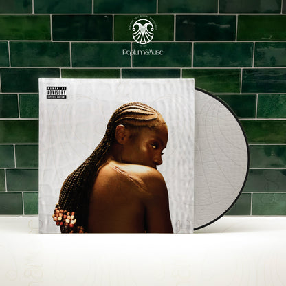 Alligator Bites Never Heal-inspired Custom Vinyl Sleeve/Jacket Design