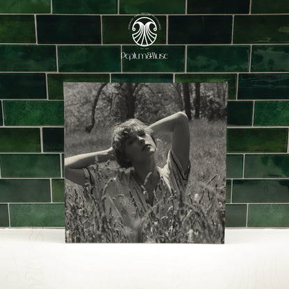 Folklore-inspired Custom Vinyl Slipcase Design ("Windermere Peaks")