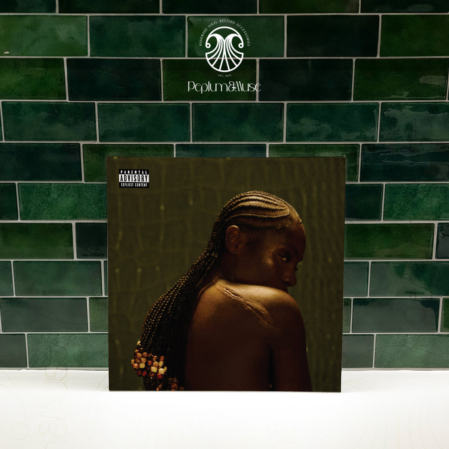 Alligator Bites Never Heal-inspired Custom Vinyl Sleeve/Jacket Design