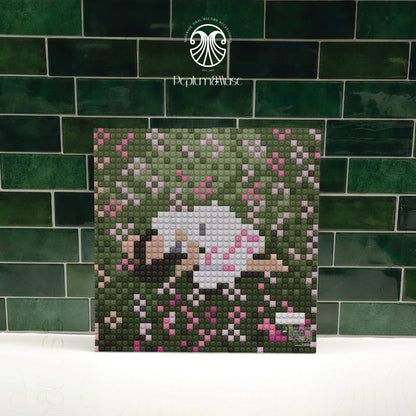 Olivia Rodrigo Brick-style Vinyl Slipcase Design Bundle