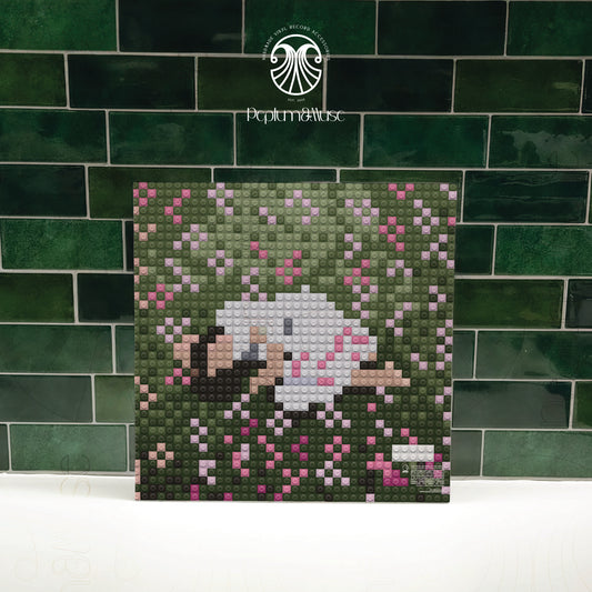 You Seem Pretty Sad For A Girl So In Love-inspired Brick-style Custom Vinyl Slipcase Design